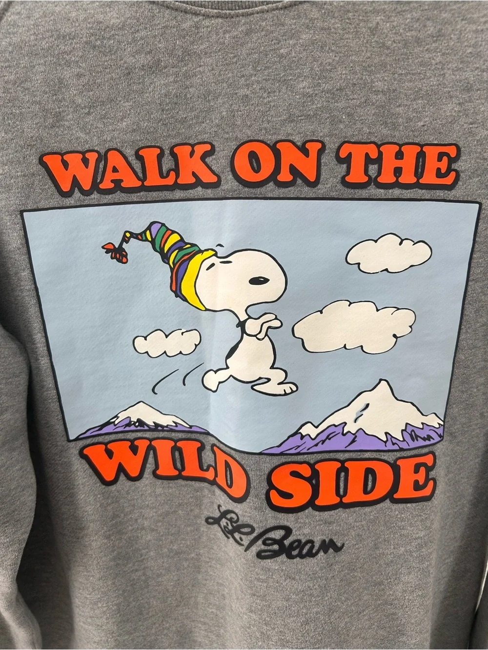 LL Bean x Peanuts Snoopy Sweatshirt Small Gray - Picture 2 of 8